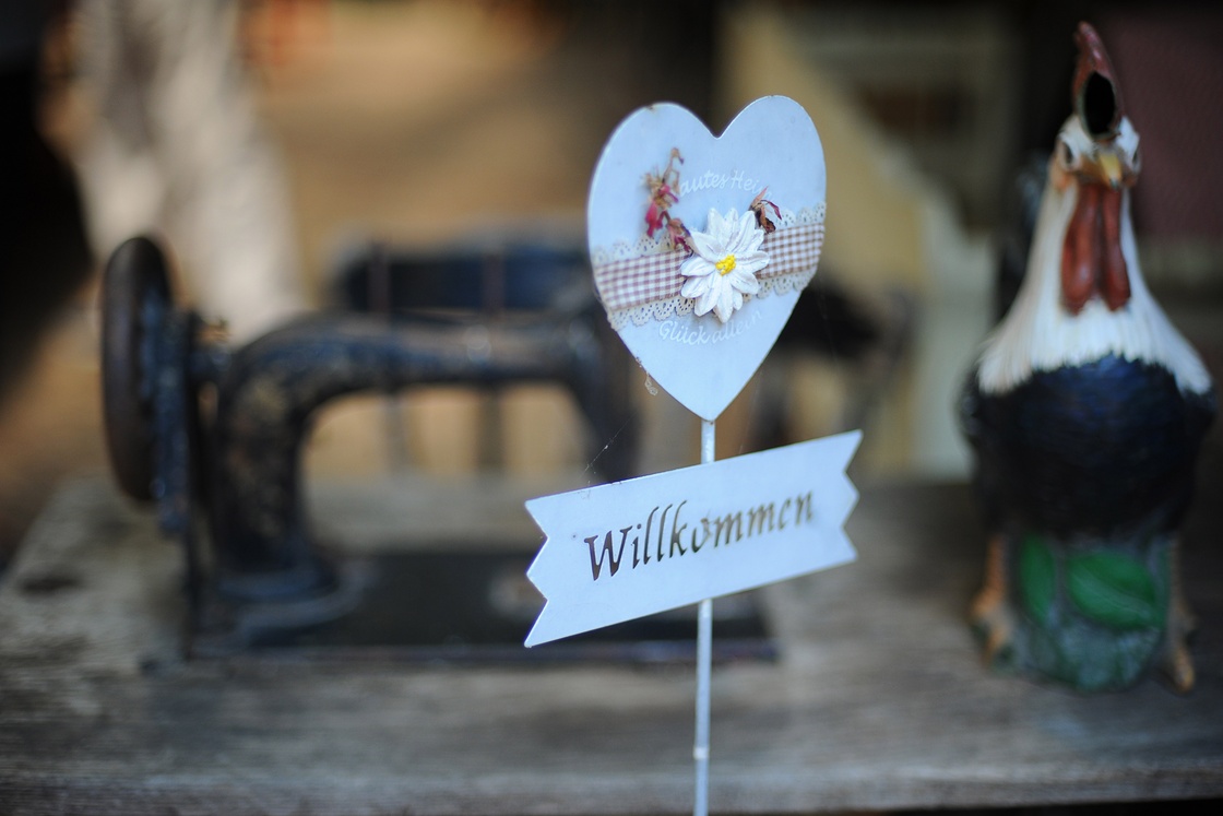 Novi A6 & Golf Road Tour 2018